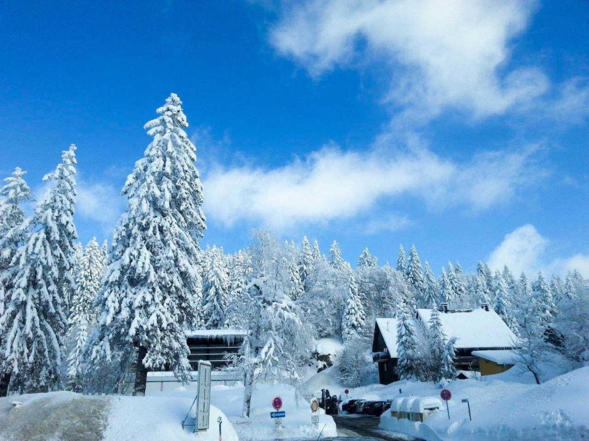 Ferienwohnung Residenz Grafenmatt 3.1 Feldberg  Exterior foto