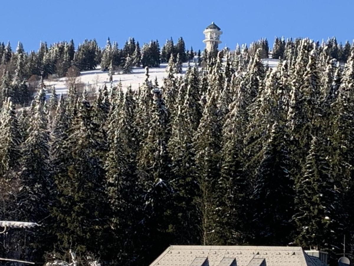 Ferienwohnung Residenz Grafenmatt 3.1 Feldberg  Exterior foto
