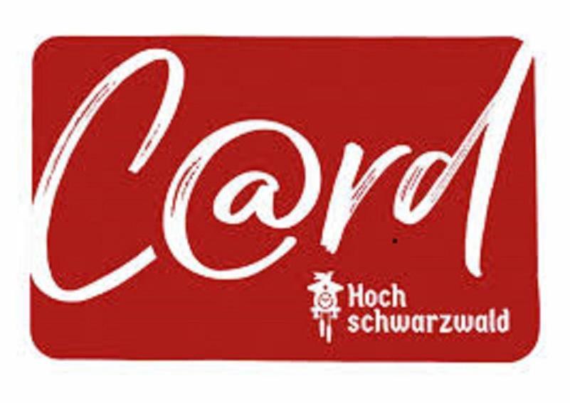 Ferienwohnung Residenz Grafenmatt 3.1 Feldberg  Exterior foto